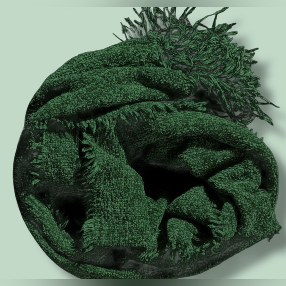 NEW Style & Co. Green Fringed Scarf